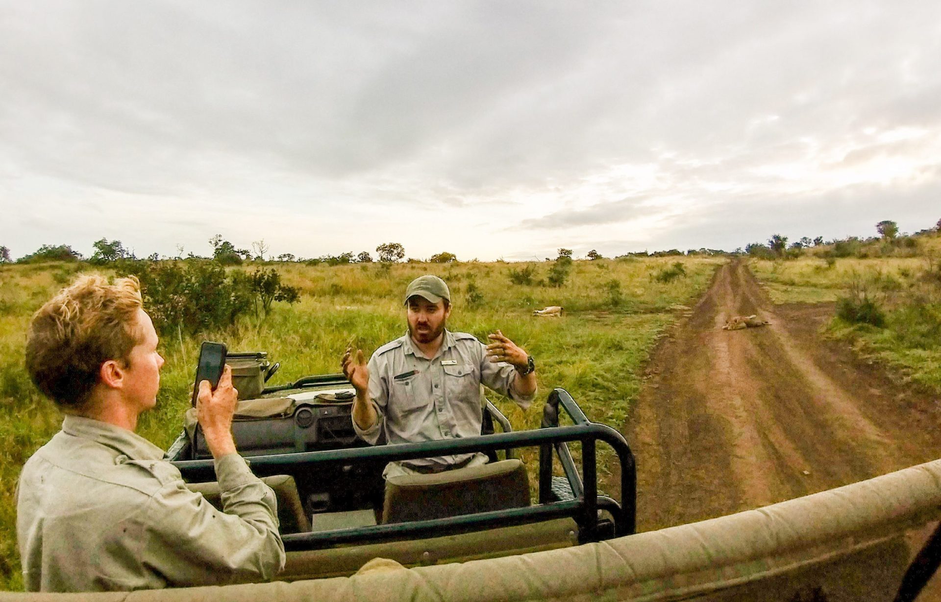 Now you can experience a 'once in a lifetime' safari from your sofa ...