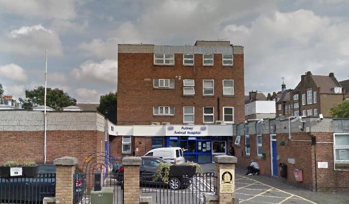 RSPCA make 'sad' decision to close Putney Animal Hospital due to ...