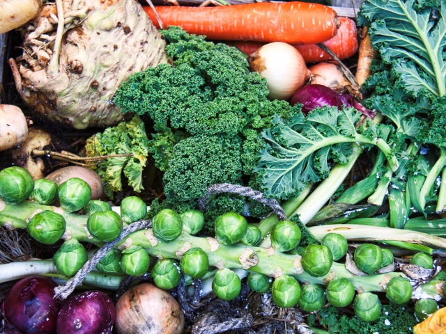 Clean eating trend inspires Veganuary virgins to try animal-free ...