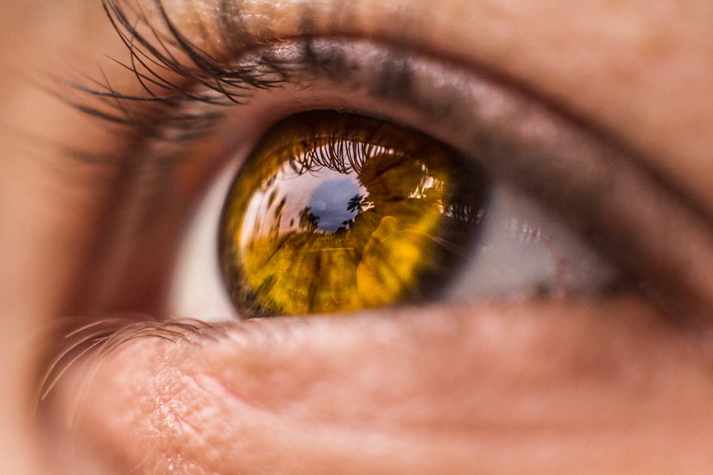 The Fascinating Mystery Of Eye Colors