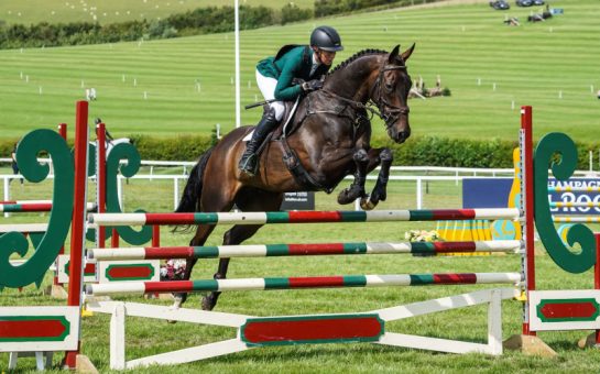 A race horse jumping over a fence