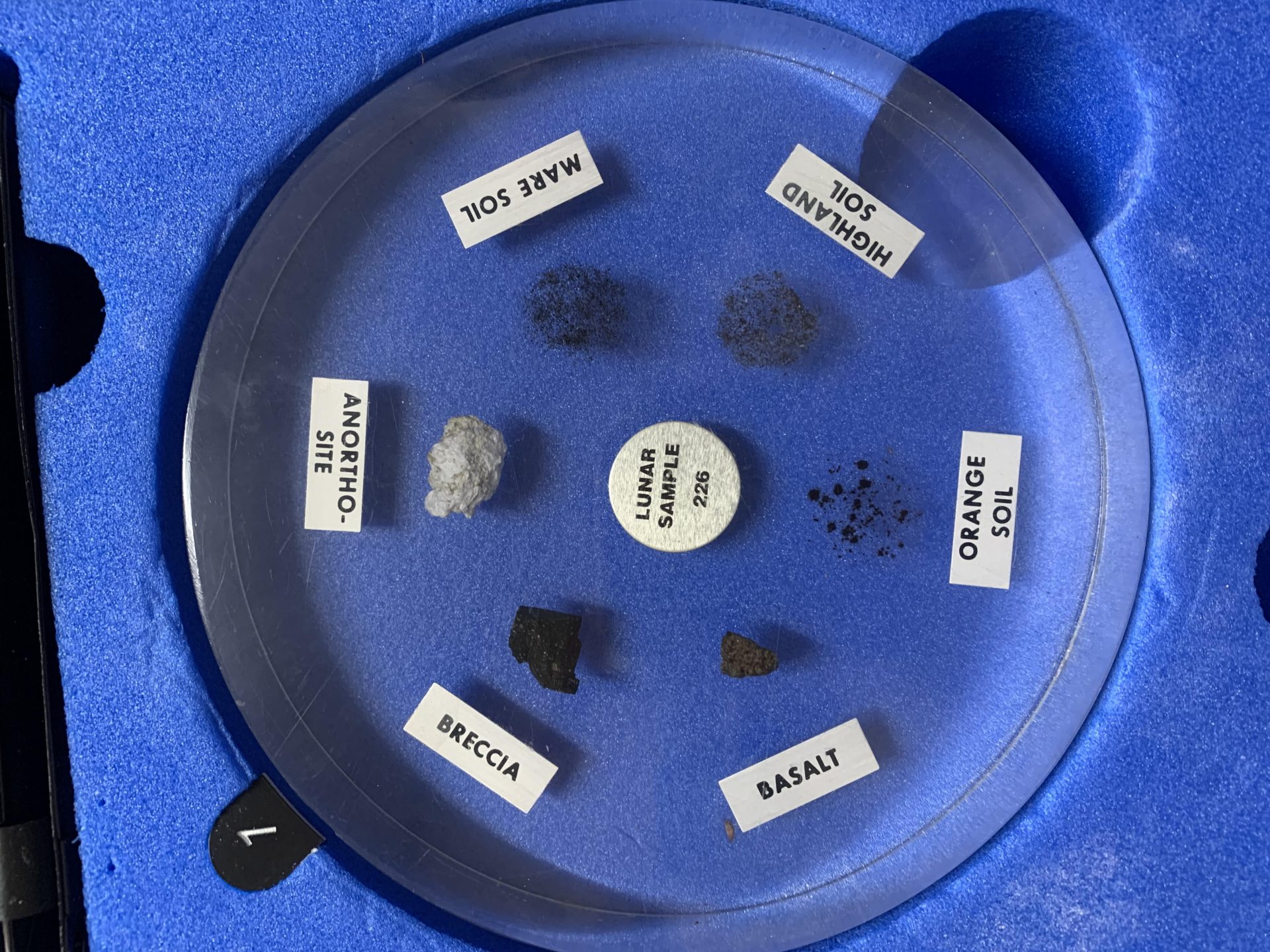 Moon samples 'rock' Streatham primary school pupils for a week - South West Londoner