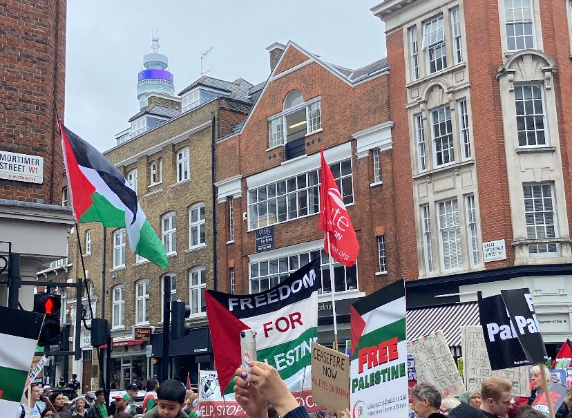 Palestine march through London on 18th May
