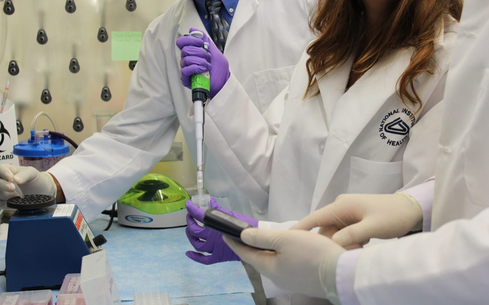 Medical researchers working in lab