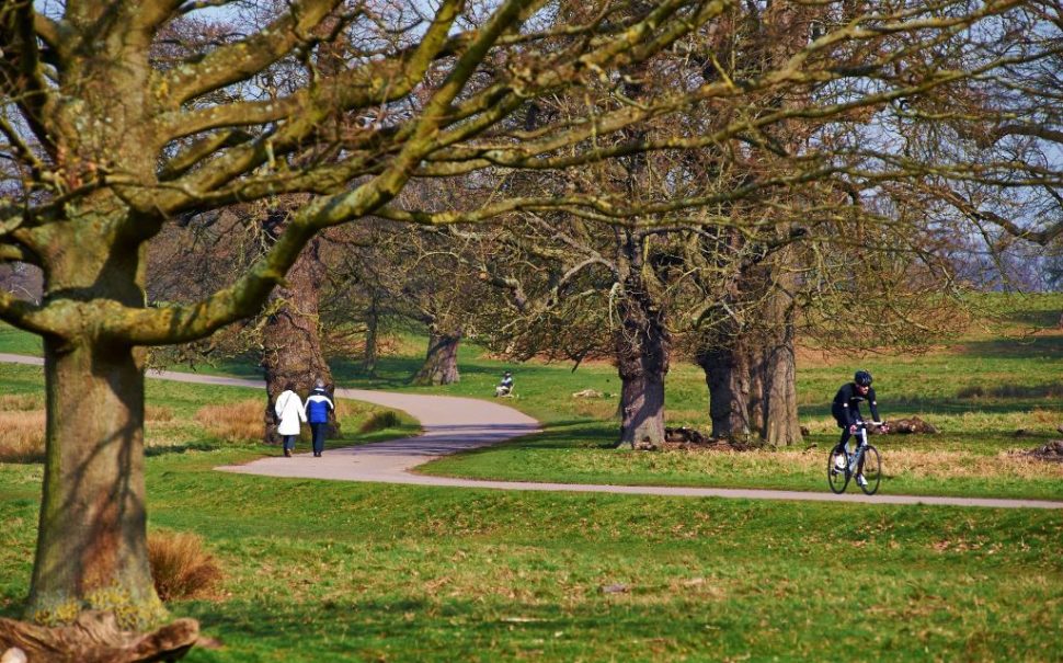 A photo of green space surrounded some trees.