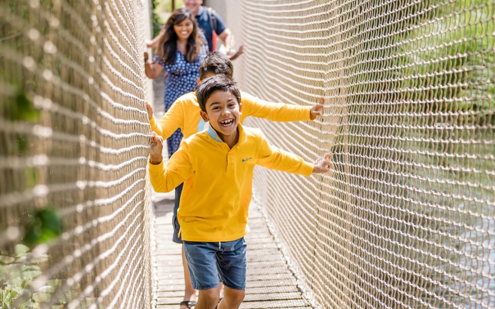 A family running across a rope bridge between the trees