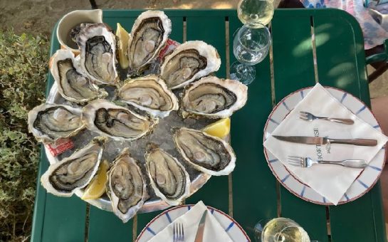 plate of oysters on table with wine