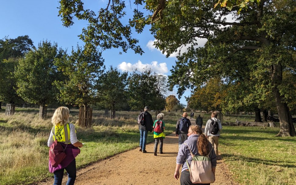 Walkers in Richmond Park