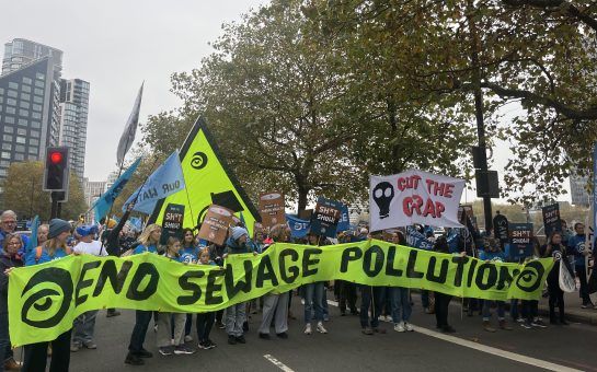 Protestors lined the streets of London demanding an end to sewage across UK waters