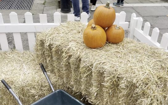 Three pumpkins on a hay stack at Be Richmond's Be Spooky pumpkin patch