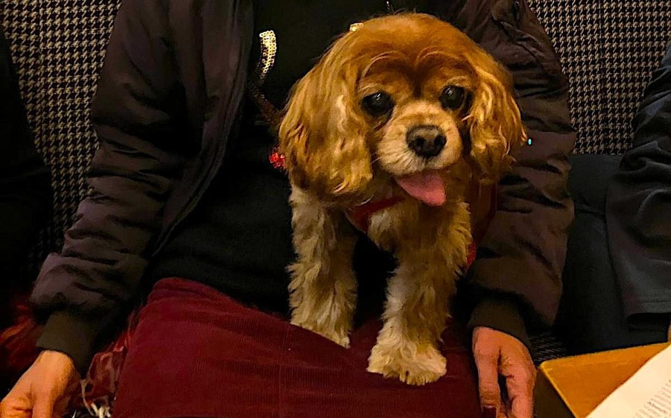 Nadia Leguel with her dog Lola at The Beehive pub in Wandsworth