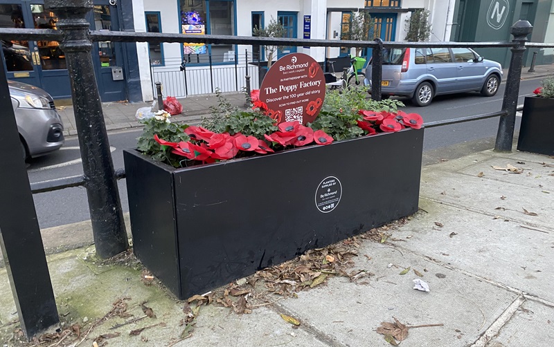 Poppy Planter on Richmond street