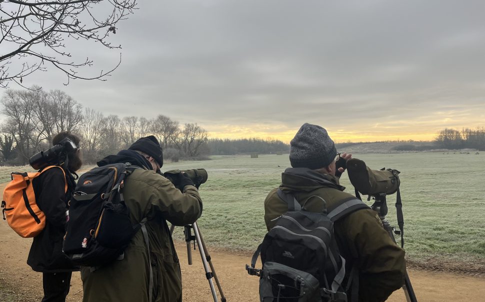 Three people look into binoculars to bird watch in a field.