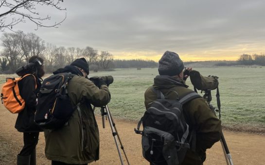 Three people look into binoculars to bird watch in a field.