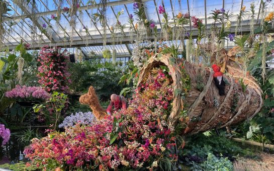 The cornucopia installation made of flowers in the middle of Kew Gardens' Orchid Festival