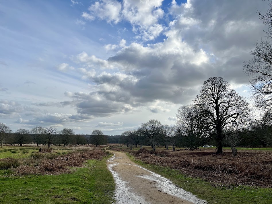 Richmond Park is a popular destination for cyclists and the largest Royal Park. Image credit Alice Reynolds.