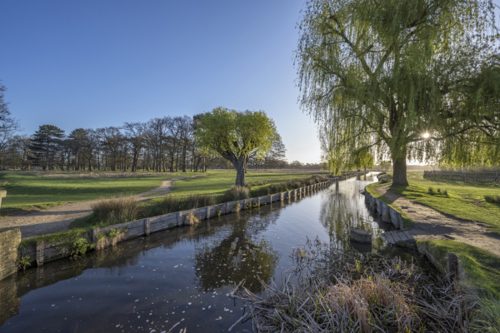 A body of water in Bushy Park. 